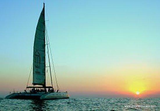 Picante Cruises
